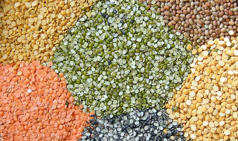 Processed Pulses